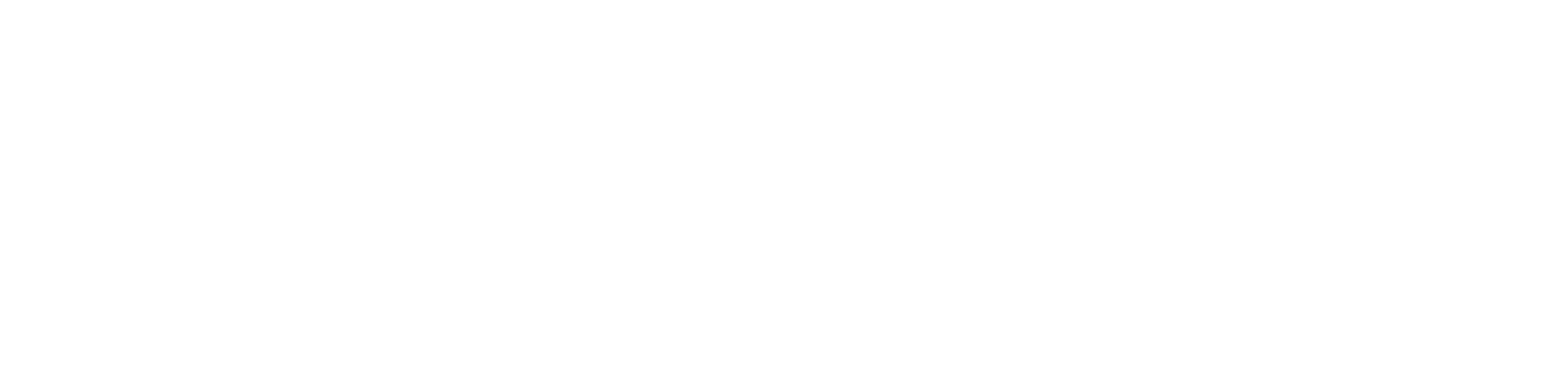 Logo VC Aduanas